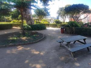 a picnic table in a park with a tree at Casa Mateus - Colares, Parque Natural Sintra Cascais in Sintra