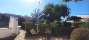 a garden with trees and bushes and a street light at Casa Mateus - Colares, Parque Natural Sintra Cascais in Sintra