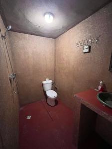 La petite salle de bains est pourvue de toilettes et d'un lavabo. dans l'établissement Dar Talmoudi, à Tagounite