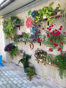 a wall with many pots of flowers and plants at House of greenery in Kutaisi