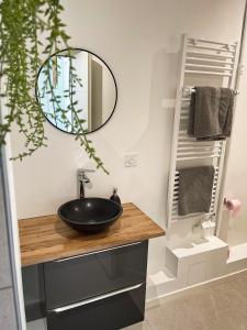 een badkamer met een zwarte wastafel en een spiegel bij Appartement duplex rénové vue sur la Loire in Blois