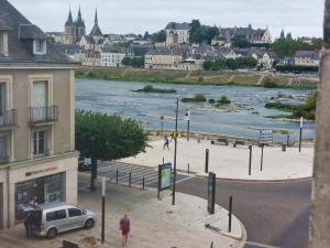 een uitzicht op een rivier in een stad met een gebouw bij Appartement duplex rénové vue sur la Loire in Blois