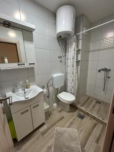 a bathroom with a toilet and a sink and a shower at Villa Ronić in Soko Banja