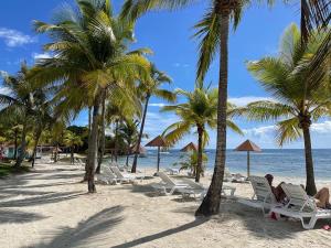 una playa con palmeras y gente en sillas en Bois Lélé, en Sainte-Anne 8 fotos más