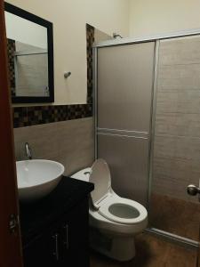 馬尼薩萊斯的住宿－Hostal Zaguán Caldense，浴室配有卫生间、盥洗盆和淋浴。