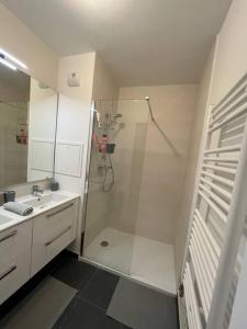 a bathroom with a shower and a sink at Magnifique appartement sur la seine in Alfortville +22 photos