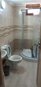 La salle de bains est pourvue d'une douche, de toilettes et d'un lavabo. dans l'établissement Dar fatima, à Azrou