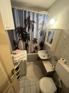 a bathroom with a toilet and a sink and a shower curtain at Apartman Kosa in Bežanija