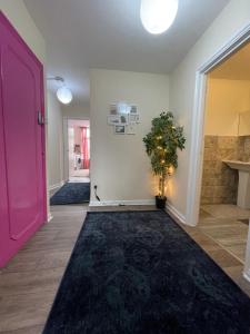 a hallway with a pink door and a plant at Enormous Family Flat (7 guests) in London
