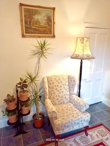 um quarto com uma cadeira, um candeeiro e vasos de plantas em Traditional English House em Derby