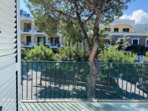a fence with a tree in front of a building at Appartamento Casa di Sole Ischia in Ischia Town