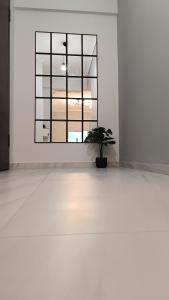 塞薩羅尼基的住宿－Comfort Corner 75m2 100Mbs，白色的窗户房里的盆栽植物