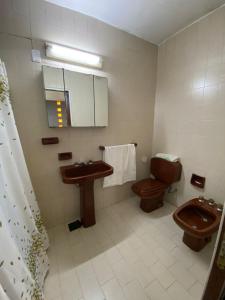 a bathroom with a sink and a toilet at Casa Mamu en microcentro in Resistencia