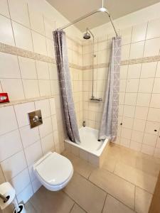a small bathroom with a toilet and a shower at Spacious Family friendly house in the Reykjavik in Reykjavík