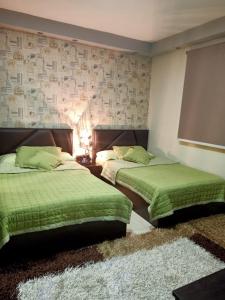 a bedroom with two beds with green sheets and a rug at بيت الاحلام للسكن الراقي in Cairo