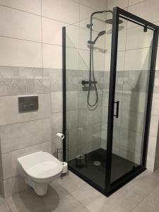 un baño con ducha y WC en Lipowa Nest, en Lipowa 20 fotos más