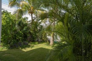 two palm trees in a yard with grass and bushes at Villa Caribe in Bayahibe