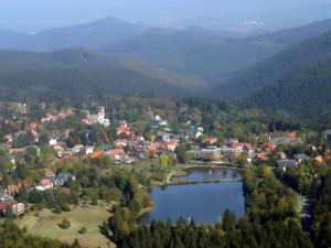 una vista aérea de una pequeña ciudad con un lago en Holiday apartment Stern in the heart of the Harz, en Wildemann