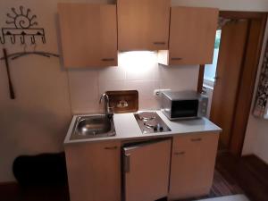 uma pequena cozinha com um lavatório e um micro-ondas em Holiday apartment Africa in the heart of the Harz em Wildemann