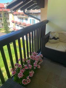 Balkón alebo terasa v ubytovaní B&B MARINA contacless check in