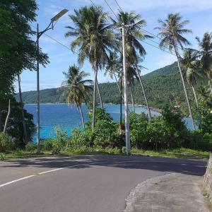 droga z palmami na brzegu jeziora w obiekcie Kenangan Guest House w mieście Sabang