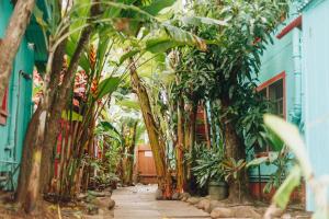 Κήπος έξω από το Banana Bungalow Maui Hostel