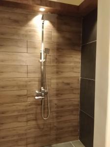 a shower in a bathroom with a wooden wall at Forest garden residence in Bilar