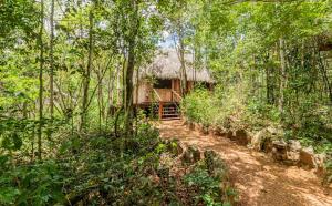a cabin in the middle of a forest at Aldea Colibri in Macario Gomez