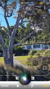 a screen shot of a house with a tree at The Shack in Southport