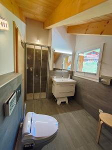 a bathroom with a toilet and a sink at Chalet Matterhornsicht in Naters