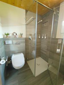 a bathroom with a toilet and a glass shower at Chalet Matterhornsicht in Naters