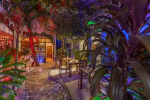 Zahrada ubytování Kamadhoo Inn