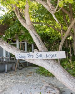 Fotografie z fotogalerie ubytování Kamadhoo Inn v destinaci Baa Atoll