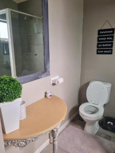 a bathroom with a toilet and a table with a plant at Angel 8 AirBnB Apartment 1 in Robertson