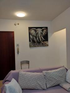 een slaapkamer met een foto van een olifant aan de muur bij Alloggio Maria in San Bartolomeo al Mare