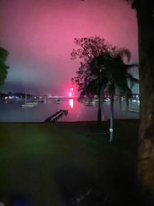 a tree sitting next to a body of water with a red light at Starfish Cottage in Cams Wharf
