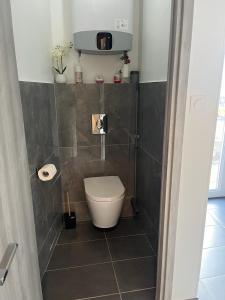 a bathroom with a toilet in a tiled room at Maison toute équipée à Grézieu la Varenne in Grézieu-la-Varenne
