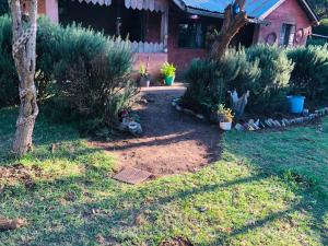 a yard with plants and a tree and a house at Kiharas Farm stay in Nairobi