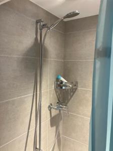 a shower stall with a toothbrush in a basket at Pivert in Auvernier