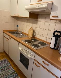 cocina con fogones y fregadero en Ferienwohnung Tannhäuser, en Braunlage