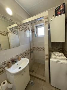 Bečej的住宿－Apartman Central A&D，一间带水槽、淋浴和卫生间的浴室