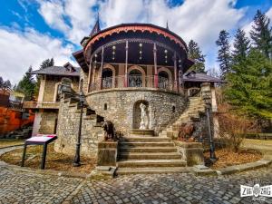 a large building with a staircase in front of it at Casa MIKHA in Sinaia