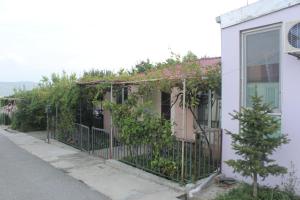 a house with a fence with vines on it at Nunuka House in Tserovani