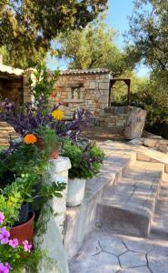 A garden outside Odysseas Studios