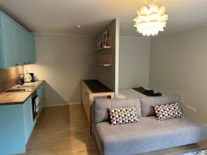 a living room with a couch in a kitchen at Modern studio apartment in Pärnu Old Town in Pärnu +8 photos