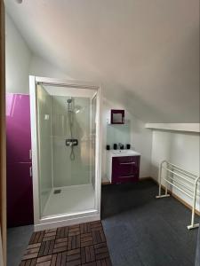 een badkamer met een douche en een paarse kast bij Maisonnette privatisée in Sedan