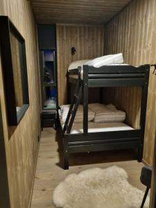 リューカンにあるFin leilighet med flott utsikt til Gaustatoppenの二段ベッド2台とラグが備わる客室です。