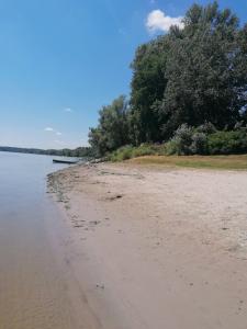 una playa de arena con árboles en el fondo en Kuća za odmor Dunavski raj en Batina