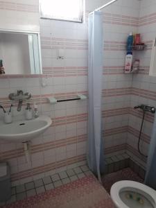 uma casa de banho com um lavatório, um chuveiro e um WC. em Kuća za odmor Dunavski raj em Batina