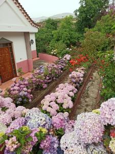 a garden of flowers in front of a house at Mar de flores in Vega de San Mateo